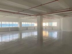 Perfect One (D13), Factory #541625801